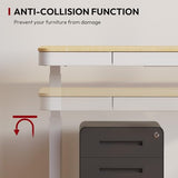 Electric Height Adjustable Home Office Desk with Storage & USB Ports