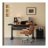 LUYOUBOZHU Electric Standing Desk with 2 Drawers, Height Adjustable Writing Desk