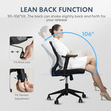 Schwake Ergonomic Office Chair Home Mesh Desk Chair with Adjustable Arms