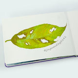 CuppaClip Watercolor Paper Cotton Cold Press with Inner Pocket Watercolor Sketchbook Journal As Travel Notebook 300 GSM 140 LB (Blue-Cold Press, 8.26x5.82in)