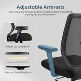 Schwake Ergonomic Office Chair Home Mesh Desk Chair with Adjustable Arms