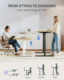 FLEXISPOT 63" x 24" Solid Wood Standing Desk, White Oval Legs