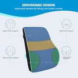 Lumbar Support Pillow for Office Chair, Office Home Essentials,Gifts for Mom,Dad, Back Support Pillow