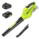 SnapFresh 20V Cordless Electric Leaf Blower - Lightweight with 2.0Ah Battery & Fast Charger, 2 Speed Modes for Lawn, Patio, Yard & Sidewalk Care
