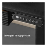 LUYOUBOZHU Electric Standing Desk with 2 Drawers, Height Adjustable Writing Desk