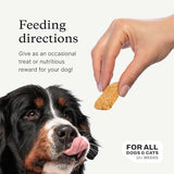 PetLab Co. Salmon Bites for Dogs – Rich in Beneficial Fatty Acids, Vitamins & Minerals - Premium Salmon Dog Treats Your Pup Will Drool Over - Carefully Selected Ingredients – Delicious Reward
