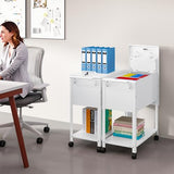Rolling File Cart with Wheels Hanging Files,Rolling File Cabinet Organizer
