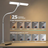 Led Desk Lamp for Home Office, Eye-care Architect Light with Clamp, Smart Double Head Computer Monitor Table Clip Lamp, White and Sliver