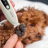 PUKACO Upgraded Mini Dog Paw Trimmer with LED Light, Low Noise Small Pet Hair Trimmer 18mm Wide Curved Blade, 35dB Cordless Waterproof Pet Paw Grooming Clippers for Dogs, Cats, Paws, Ears, Face, Rump