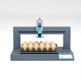 SYXINGL Single Head Auto Egg Inkjet Printer Inkjet Logo Barcode Printing Coding Machine