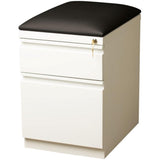 Pemberly Row 2-Drawer Metal Mobile Filing Cabinet, 23.75" H x 15.00" W x 19.88" D, Steel Construction