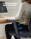 NOBLEWELL Ergonomic Office Chair with Padded Lumbar Support, 2D Headrest, Adjustable Armrests, Upgraded Contoured Seat Cushion