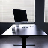 FLEXISPOT 79"x32" Electric Standing Desk, Black
