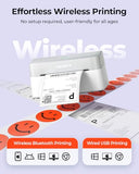 Bluetooth Thermal Label Printer RW403B, Wireless 4x6 Shipping Label Printer for Small Business