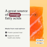PetLab Co. Salmon Bites for Dogs – Rich in Beneficial Fatty Acids, Vitamins & Minerals - Premium Salmon Dog Treats Your Pup Will Drool Over - Carefully Selected Ingredients – Delicious Reward