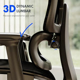FLEXISPOT ErgoX Premium Ergonomic Office Chair with Footrest- Adjustable 3D Armrests, Dynamic Lumbar Support, Light Grey