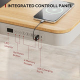 Electric Height Adjustable Home Office Desk with Storage & USB Ports