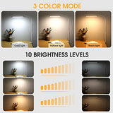 Voncerus LED Desk Lamp with Clamp, Eye-Caring Clip on Lights for Home Office, 3 Modes 10 Brightness, Long Flexible Goose-Neck, White