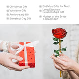 10'' Red Crystal Rose Figurine - Rose Flower Gifts for Mom Women
