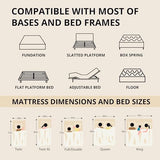 EGOHOME King 14 inch Memory Foam Mattress for Back Pain Relief Medium Firm