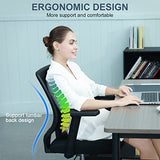 Schwake Ergonomic Office Chair Home Mesh Desk Chair with Adjustable Arms