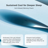 Sweetnight CoolNest Hybrid King Size Mattress 14 Inch, Cooling Pillow Top
