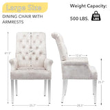 AODCHR Upholstered Velvet Accent Dining Chair, Elegant Tufted Dining Room