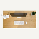 Bamboo Standing Desk, 60 x 30 Inches Whole-Piece Electric Adjustable Height Desk for Home Office