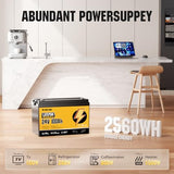 Rvpozwer 24V 100Ah LiFePO4 Battery, Built-in 100A BMS, 2560Wh Deep Cycle