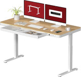 Electric Height Adjustable Home Office Desk with Storage & USB Ports