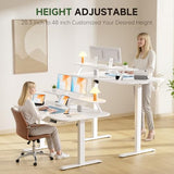Electric Standing Desk with Drawers, 48 x 24 Inches Height Adjustable Computer Desk with Monitor Stand,