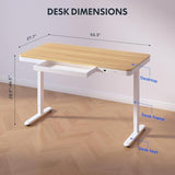 Electric Height Adjustable Home Office Desk with Storage & USB Ports