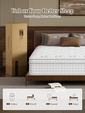 BedStory Firm Queen Mattress 14 Inch, Hybrid Queen Size Mattress in a Box