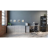 2-Drawer Vertical File with Lock, 15 by 25 by 28-3/8-Inch, Light Gray