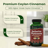 ATTAYA Berberine Phytosome Supplement (Berbevis®) with Ceylon Cinnamon & Chromium Picolinate | High Absorption Berberine Supplement | Berberine Weight Loss Support | Berberine Capsules | 60 Count