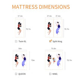 ESHINE Split King Adjustable Bed Frame with 12" Mattress, Wireless Remote