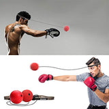 TOCO FREIDO Double End Punching Ball, Speed Bag with 2 Difficulty Levels Boxing Reflex Ball with Headband, Perfect for Reaction, Agility, Punching Speed, Fight Skill and Hand Eye Coordination Training TOCO FREIDO