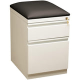 Pemberly Row 2-Drawer Metal Mobile Filing Cabinet, 23.75" H x 15.00" W x 19.88" D, Steel Construction