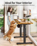Standing Desk Electric Adjustable Computer Desk-Stand up Desk Office Gaming Home Office