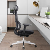 DDYYDS Office Chairs Home Computer Lifting Dormitories Gaming Esports Waist Protection