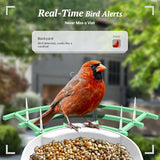 DOCOON Smart Bird Feeder with Camera, 2K HD AI Identify Birds Species, Bir d Watching Camera with Solar Panel, Instant Notifications, Ideal Present for Bir d Lover, Grass Green