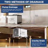 ALORAIR 70 PPD Dehumidifier with Pump for Crawl Space and Basement | Automatic Defrost
