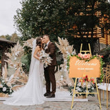 50 Inch Display Stand Adjustable 3 Tier Easel for Wedding Sign, Posters, Paintings