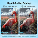 RAINBOWDGT Peacock 33 DTF Printer A3 XP600 Garment Printer