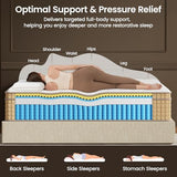 BedStory Firm King Mattress 13 inch, Deep Sleep Hybrid Mattresses in a Box