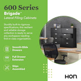 Metal Filing Cabinets for Offices, Adjustable Hangrails for A4, Legal, Letter Files, 18" Deep, Black