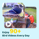 NETVUE by Birdfy Smart Bird Feeder with Camera – AI Identifies Birds Species 2MP Night Vision & App Alerts, 2.4Ghz Wi-Fi Connect IP65 Weatherproof Bird Camera-Gift for Backyard BirdWatchers, Blue
