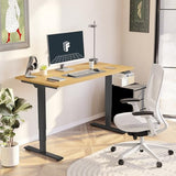 FLEXISPOT E6 3-Stage Dual Motor Electric Standing Desk 55 x 28 Sit Stand Up Desk