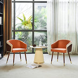 Dinning Room Chairs Set of 2,Fabric Upholstered Accent Chairs for Living Room Arm Chairs for Home Indoor Furniture