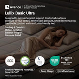 Avenco Queen Mattress 14 inch, Queen Hybrid Mattress in a Box